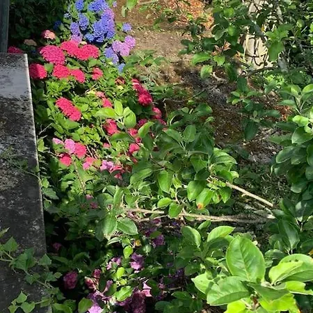 아파트 Casa Cassana Cinque Terre